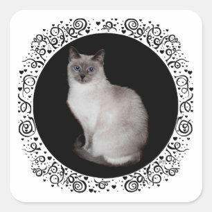 Siamesische Katze mit blauen Augen Quadratischer Aufkleber