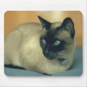 Siamesische Katze Mousepad (Vorne)