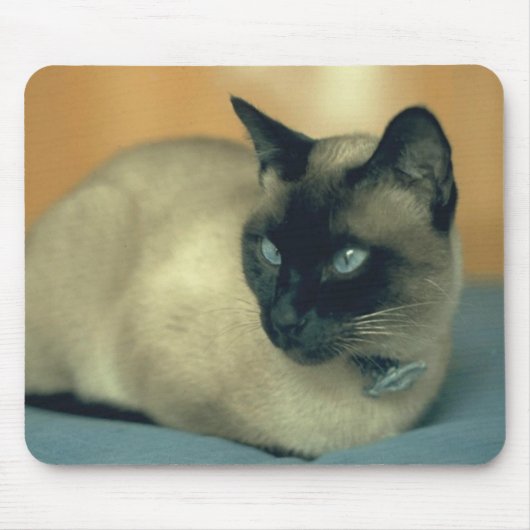 Siamesische Katze Mousepad (Vorne)