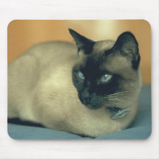 Siamesische Katze Mousepad (Vorne)