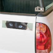 Siamesische Katze Murphy Autoaufkleber (Auf Lkw)