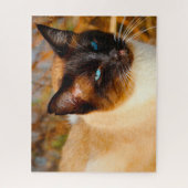 Siamesische Katze . Puzzle (Vertikal)
