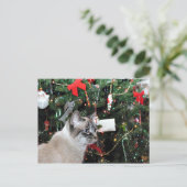 siamesische Katze Weihnachten (Stehend Vorderseite)
