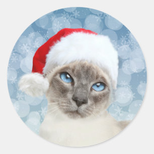 siamesische Katze Weihnachten Runder Aufkleber