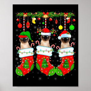 Siamesische Katzen Damen in Weihnachts-Socken Lust Poster