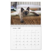 Siamesische Katzen-Kalender Kalender (Jan 2027)