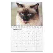Siamesische Katzen-Kalender Kalender (Feb 2027)