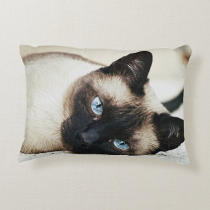Siamesische Katzen-Kissen Zierkissen