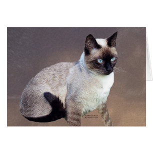 Siamesische Katzen-Malerei