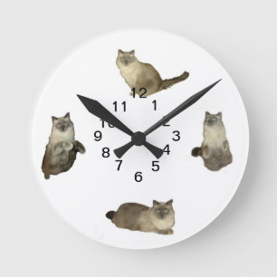 Siamesische Katzen-Wanduhr Runde Wanduhr