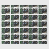 Siamesische Katzen-Weihnachtswinter Geschenkpapier (Flach)