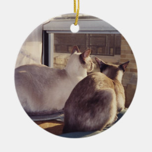 Siamesische Katzen zwei an Fenster (2) Keramikornament