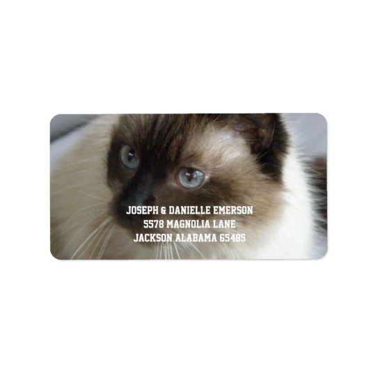 Siamesische Miezekatze-Adressen-Etiketten Adressetikett