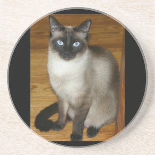 Siamesische Sandstein Untersetzer