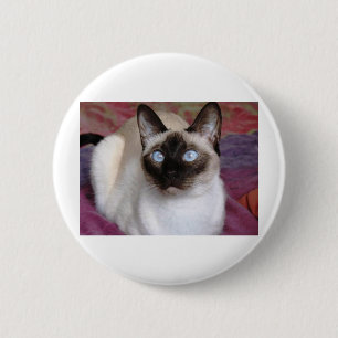 SIAMESISCHE SCHÖNHEIT BUTTON