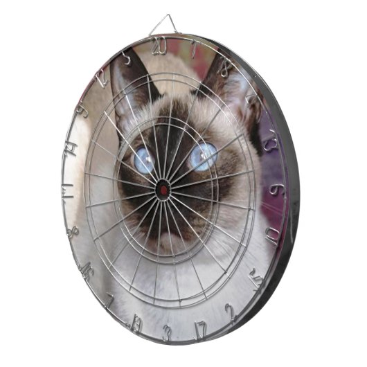 SIAMESISCHE SCHÖNHEIT DARTSCHEIBE (Vorderseite rechts)