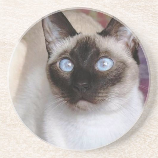 SIAMESISCHE SCHÖNHEIT GETRÄNKEUNTERSETZER (Vorne)