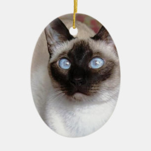 SIAMESISCHE SCHÖNHEIT KERAMIKORNAMENT