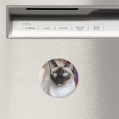 SIAMESISCHE SCHÖNHEIT MAGNET (In Situ (Geschirrspüler))