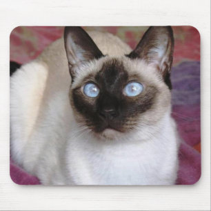 SIAMESISCHE SCHÖNHEIT MOUSEPAD