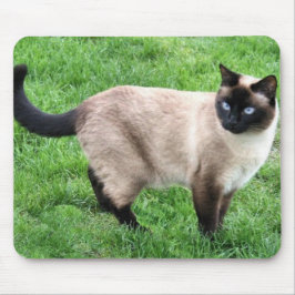 SIAMESISCHE SCHÖNHEIT MOUSEPAD