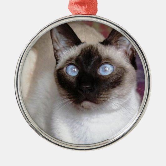 SIAMESISCHE SCHÖNHEIT SILBERNES ORNAMENT (Vorne)