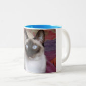 SIAMESISCHE SCHÖNHEIT ZWEIFARBIGE TASSE (VorderseiteRechts)
