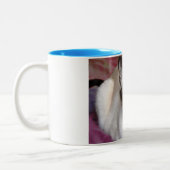 SIAMESISCHE SCHÖNHEIT ZWEIFARBIGE TASSE (Links)