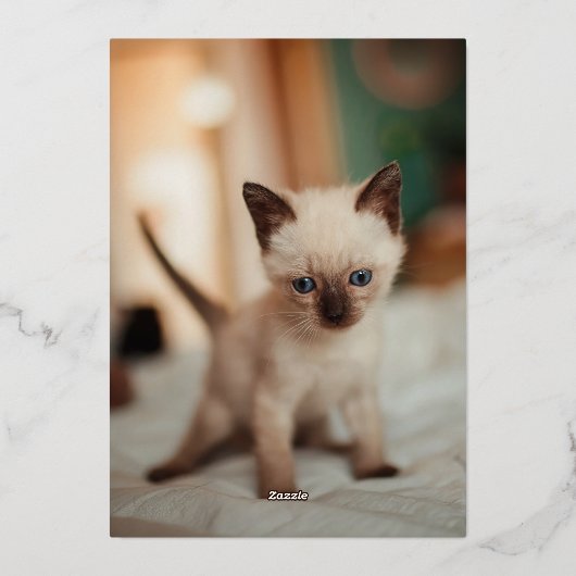 siamesische Weihnachten Folien Feiertagskarte (Rückseite)