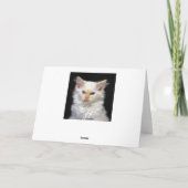 Siamesischer Kätzchen-Geburtstags-Spaß Karte (Rückseite)