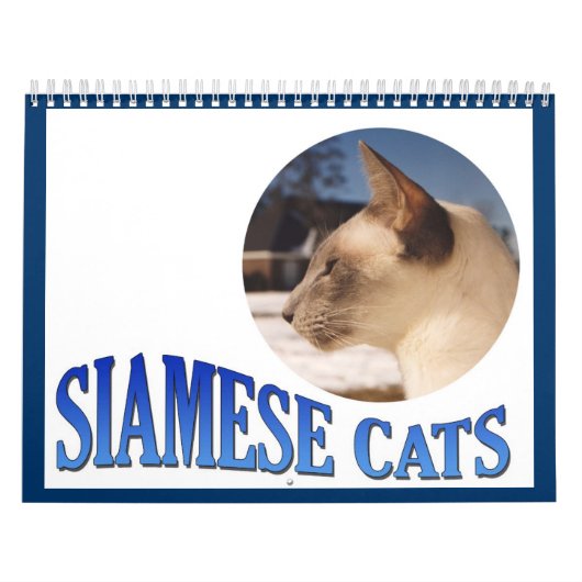 Siamesischer Katzenkalender 2024 Kalender (Titelbild)