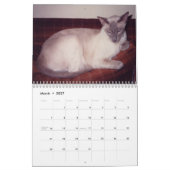 Siamesischer Katzenkalender 2024 Kalender (Mär 2027)