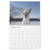 Siamesischer Katzenkalender 2024 Kalender (Feb 2027)