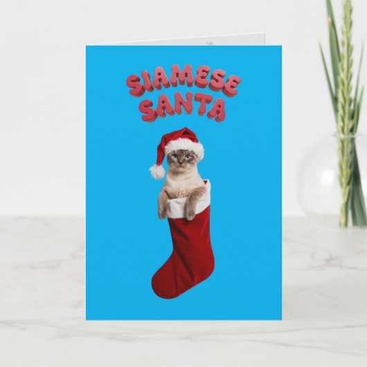 Siamesischer WeihnachtsStrumpf Karte (Vorderseite)