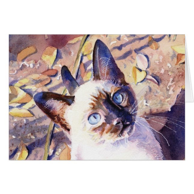 Siamesisches Kätzchen (Vorderseite (Horizontal))