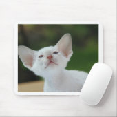 Siamesisches Kätzchen Mousepad (Mit Mouse)