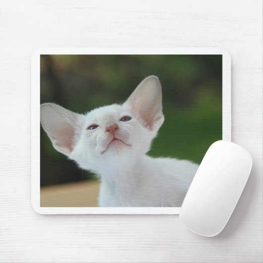 Siamesisches Kätzchen Mousepad (Mit Mouse)