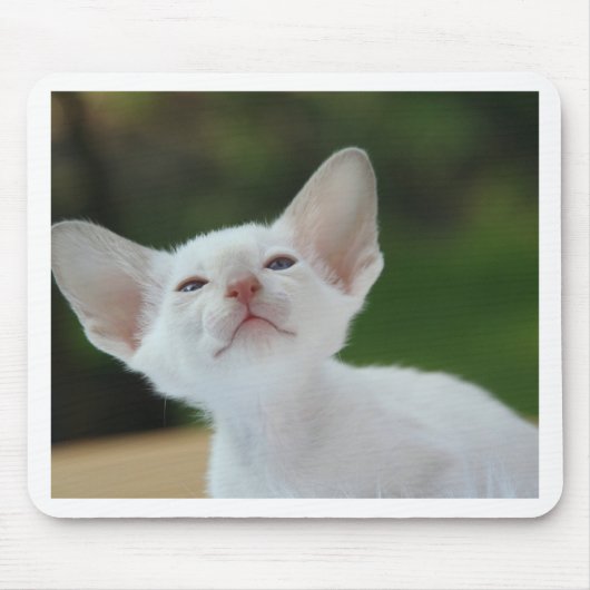 Siamesisches Kätzchen Mousepad (Vorne)