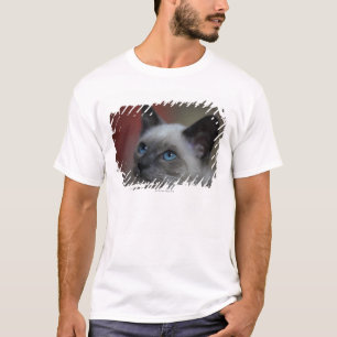 Siamesisches Kätzchen T-Shirt