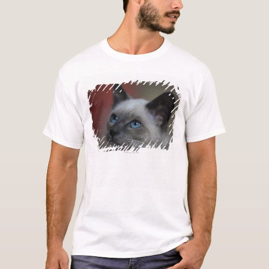 Siamesisches Kätzchen T-Shirt (Vorderseite)