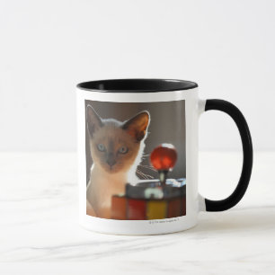 Siamesisches Kätzchen Tasse