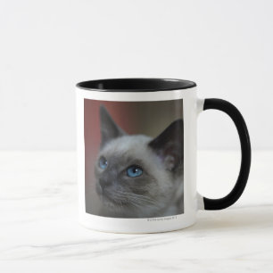Siamesisches Kätzchen Tasse