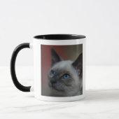 Siamesisches Kätzchen Tasse (Links)