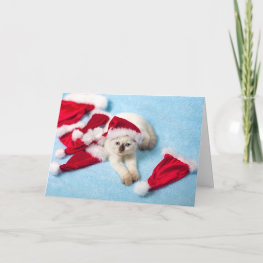 Siamesisches Kätzchen: Weihnachtsmannmützen Feiertagskarte (Vorderseite)