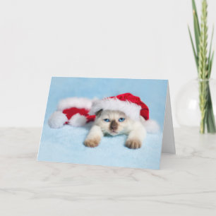 Siamesisches Kätzchen: WeihnachtsMiezekatze Feiertagskarte