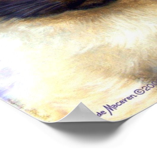 Siamesisches Katzenposter - 155 CHARMING Poster (Ecke)