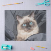 Siamesisches Kittpapier Seidenpapier (Basteln)