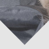 Siamesisches Kittpapier Seidenpapier (Detail)