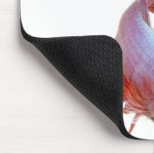 Siamische Kampffische (Betta splendens) Mousepad (Ecke)
