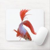 Siamische Kampffische (Betta splendens) Mousepad (Mit Mouse)